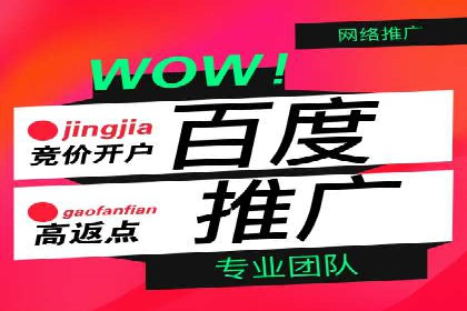 百度推广服务费案例分析：成功背后的秘密